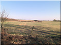 Arable Land southeast of Upper Row Farm