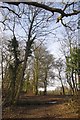 Hullets Lane and Byway to Crow Green