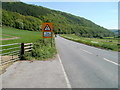 Wyesham : warning of tree canopy ahead in the Wye Valley 