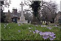 The Old Brentwood Cemetery