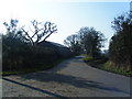 Park Lane from Leadgate Lane