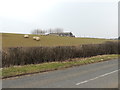 Farmland near Morriston