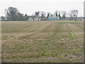 Bowtrees Farm from Waterslap Road