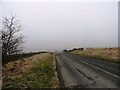 Looking west down the lane