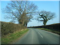 SJ5461 : Crib Lane looking north-east by Colin Pyle