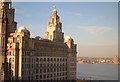 SJ3390 : Royal Liver Building, Liverpool by Derek Harper