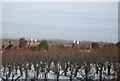 Two oast houses, Meresborough