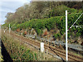 Glasgow to Wemyss Bay railway line