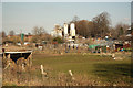 North Warren Road allotments