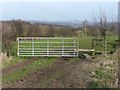 Footpath at Firth House