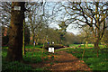 SP0584 : End of the path through Edgbaston Pool Nature Reserve by Phil Champion