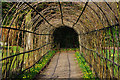 SP0583 : Hazel tunnel in the gardens at Winterbourne by Phil Champion