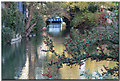 Folly Bridge Oxford from the Thames