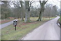 SP4216 : Estate road towards Park Farm by Graham Horn