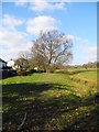 Path behind Green Croft, Romiley