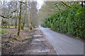 Lane along edge of Hale Purlieu