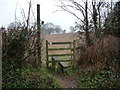 Footpath across fields near Betws Newydd, Monmouthshire