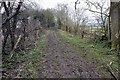 Footpath north of Rowler