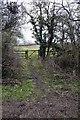 Gate in the hedge, Charlton - Croughton