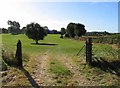 Field entrance in Little Hormead