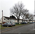 Tree-lined row of houses, Coed Glas, Cwmbran