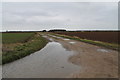 Track off Navenby Lane