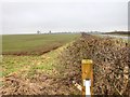 Hedgerow and fields alongside B4100