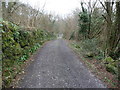 Old walled track below Penallt