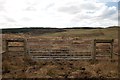 NR2259 : Gate near Gearach, Islay by Becky Williamson