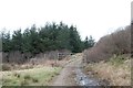 NR2259 : Gate on track to Olistadh, Islay by Becky Williamson