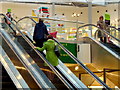 Within John Lewis, Kingston, 4