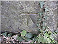 Bench mark on Lower Rake Lane railway bridge