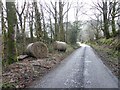 Silage bales along Castledamph Road