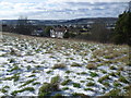 View of the Medway Viaducts from above Borstal