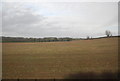 Farmland near Upper Souldern Farm