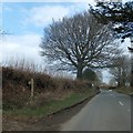 Sign for footpath to West Withy Farm