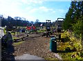 Bowland Wild Boar Park