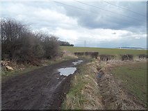 SK5190 : Track and Byway near Carr by Jonathan Clitheroe