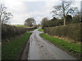 Lane  to  Pockthorpe  Hall