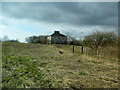 Derelict house, Llangewydd