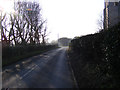TM5398 : Church Lane, Corton by Geographer