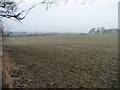 Farmland east of Binsoe Lane