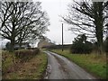 Looking north along Binsoe Lane