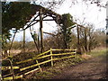 Derelict barn by Tilty Mill