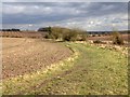 Bridleway to Wedgnock Park Farm