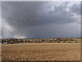 Threatening sky over an Essex arable landscape