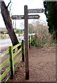 Signpost at entrance to the Pine woods