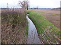 Looking west along The Foss