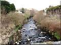 The Kilbroney River north of Newtown Road Bridge