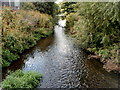 River Stour downstream from Tram Road, Kidderminster